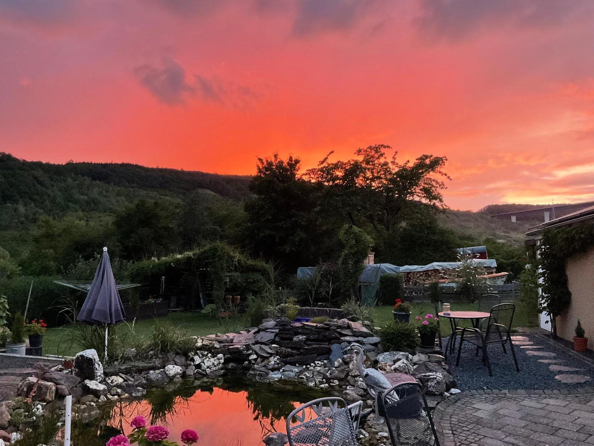 Ferienwohnungen Forneck Zeltingen-Rachtig Exteriör bild